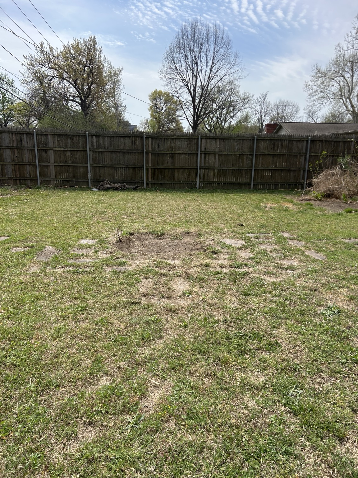 Cleared yard after shed removal